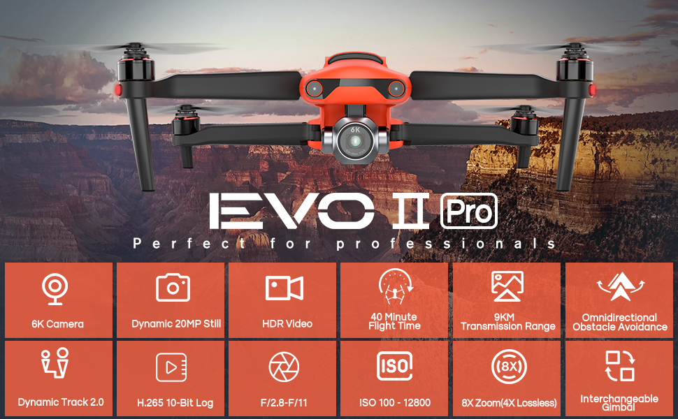 EVOII Pro Display